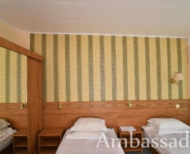 Двухместный номер Standard с балконом и с видом на море 2 отдельные кровати в Hotel Ambassador