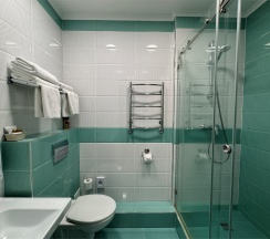 Твин 1 категории в Ирбис