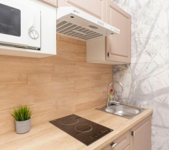 Номер-студио c французским  балконом в Park in Pulkovo