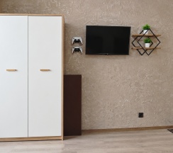 3-местные 1-комнатные апартаменты с 1 двуспальной кроватью, 25 м², 1 этаж в Однокомнатная квартира, ул. Свободы, 38/2