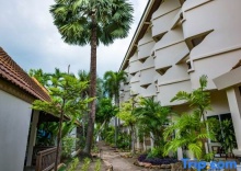 Одноместный номер Superior двуспальная кровать в Samui Natien Resort