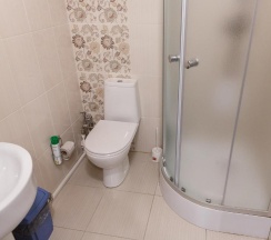 Двухместный Стандартный номер с двуспальной кроватью и дополнительным местом в Алмаз