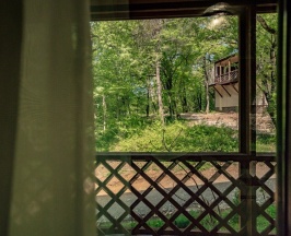 Стандарт с двумя 1-сп.кроватями в Green wood
