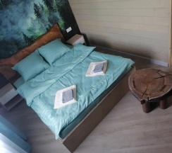 Двухместный номер Standard двуспальная кровать в Fikus