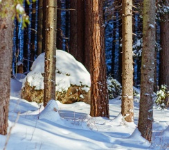 Дом в Lberry Karelia