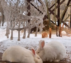 Домик "Кроличий" в Дом на дереве