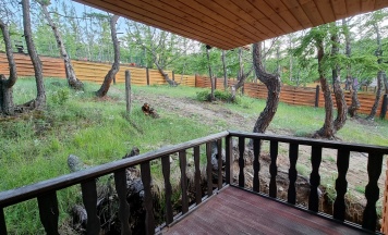 Корпус 2 №6 Стандарт Twin в Эндемик