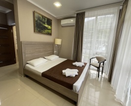 Двухместный номер Superior с балконом и с красивым видом из окна двуспальная кровать в Альтаир