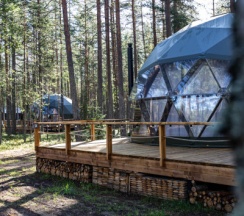 Сфера лесная в Forest lake