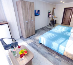 Номер Standard в Camelia