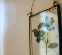 HOME 2+1 в Forrest Home
