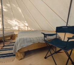 Ландышевая поляна в Котопельто