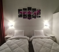 Стандартный номер с 2 односпальными кроватями в Репин