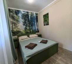 Улучшенный двухместный номер с 1 двуспальной кроватью или 2 отдельными кроватями в Синди