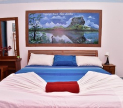 Двухместный номер Standard двуспальная кровать в Hotel Happy Tuna
