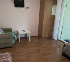 двухместный эконом +1 в Аммонит