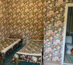 Двухместный номер Standard двуспальная кровать в 222