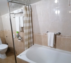 Эконом SNGL-мансардный в Грин парк