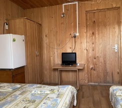 Номер эконом (мансарда) в Аист