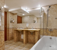 Номер стандарт улучшенный в Marins Park Hotel Москва Пражская