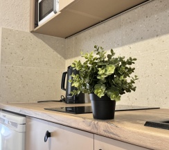 Номер студия в Солнце Тургенева