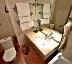 Двухместный улучшенный TWIN в Даниловская