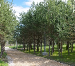 Коттедж стандарт Для двоих в Заповедное