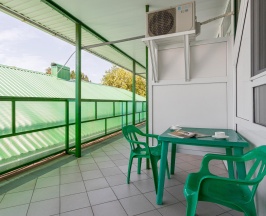 2-местный номер стандарт (мансарда) (корпус Б) в Русич