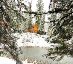 Полулюкс новый в Телецкое Золотое