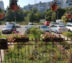 Сауна в Arthouseinn