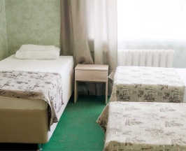 Трехместный номер "Стандарт" (три односпальных кровати) в Колос