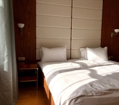 ADONIS в Malakhovka Palace