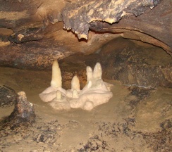 Семейный  номер  с балконом в Aqualife