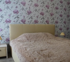 2-комнатные апартаменты стандарт в Столичный