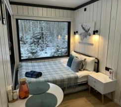 "Клен" в След Лося