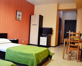 Двухместный номер с 2 отдельными кроватями в Грин