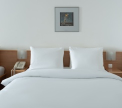 Номер Superior с 2 большими кроватями в Novotel Москва Центр