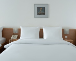 Номер Superior с 2 большими кроватями в Novotel Москва Центр