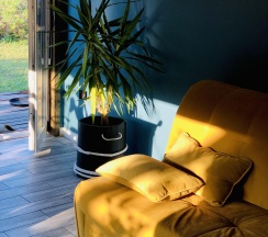 Дом в Онегин