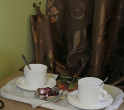 Полулюкс с двумя раздельными кроватями в Медвежонок