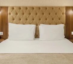 Двухместная студия (Корпус 1) двуспальная кровать в Кубань