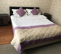 Двухместный 1 кровать (завтрак включён) в Хабаровск