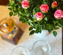 1–комнатный 5-местный Домик с мини-кухней и террасой в Кокос