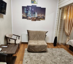 Стандарт в Гостеев