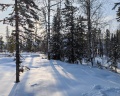 Needles: отзыв от Александр