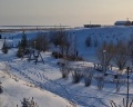 Пичуги: отзыв от Василина Боркова