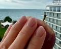 Radisson Collection Paradise Resort & SPA Sochi: отзыв от Ольга Бровка