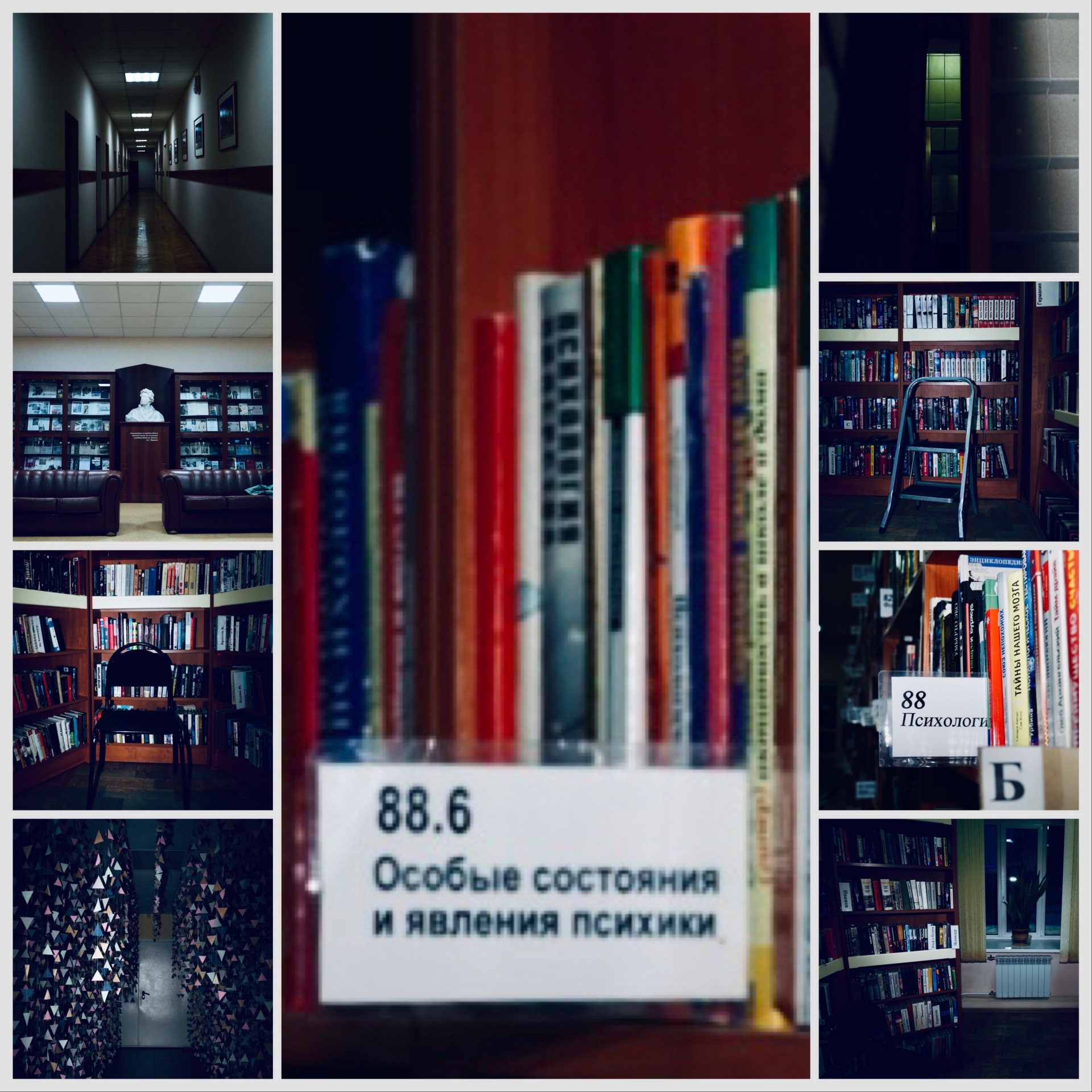 Томская областная универсальная научная библиотека им. А.С. Пушкина, Отдел  организации обслуживания людей с ограничениями жизнедеятельности, проспект  Ленина, 111, Томск — 2ГИС