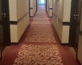 Cort Inn St-Petersburg Hotel & Conference Center: отзыв от Oly Pankova