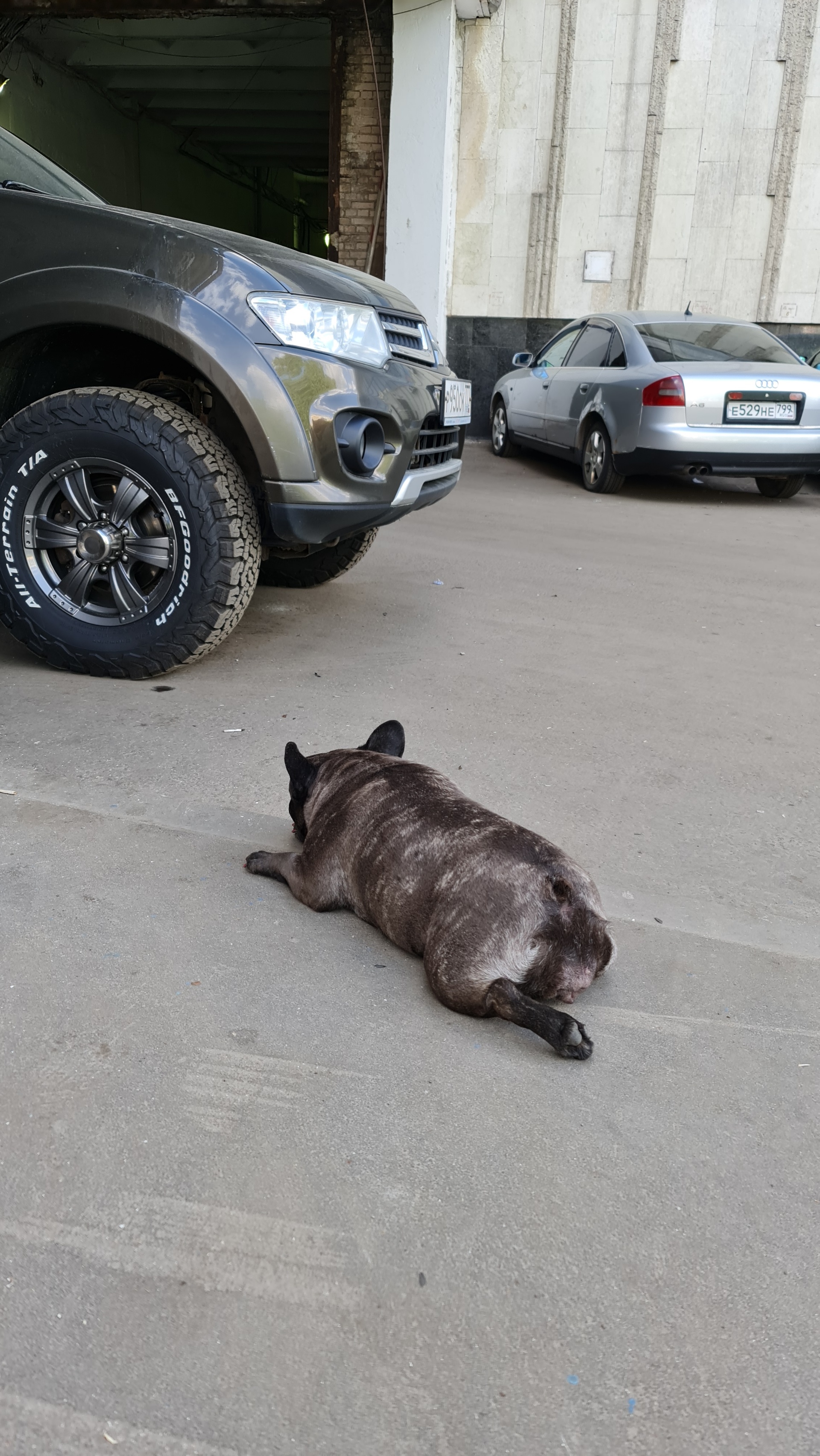 Gorilla motors, автосервис, Мичуринский проспект, Олимпийская деревня, 4  к3, Москва — 2ГИС